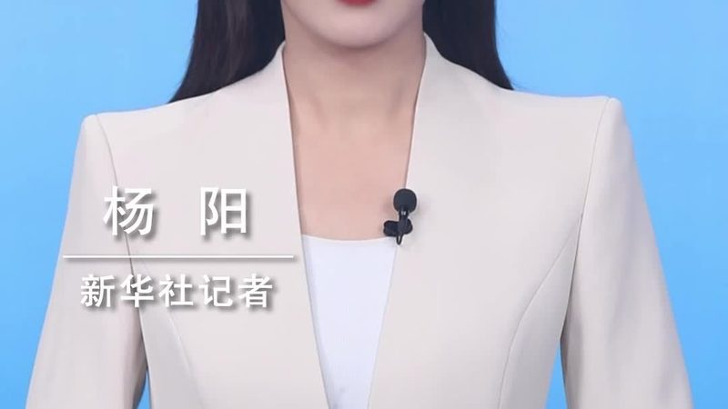 揭秘数据中台建设：关键要素与选型指南